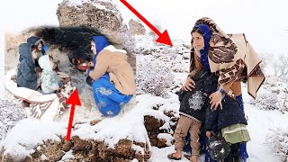 Can Somayeh find shelter to spend the snowy day?!!!