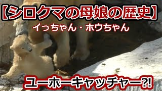 シロクマの母娘の歴史💗ユーホーキャッチャー【天王寺動物園】