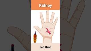 #Kidney Acupressure Treatment Point #Shorts