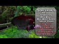 how to play shadow the hedgehog in dungeons u0026 dragons sonic build for d u0026d 5e