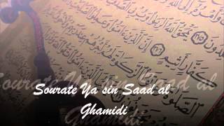 Sourate Ya Sin - Saad Al Ghamidi