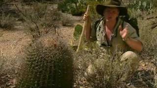 The Arizona Desert Ray Mears S1E5 Part 3