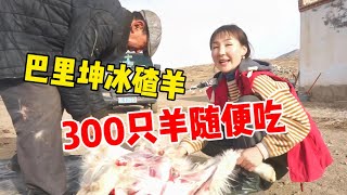 【驰娜尔】 新疆吃草药羊肉多好吃？哈萨克牧民养300多只，想吃就宰太幸福