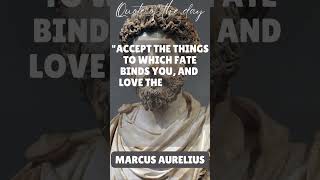 Marcus Aurelius best quote #stoicism #stoicquotes #marcusaurelius #marcusaureliusquotes #shorts