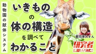 【研究者に聞いてみた】動物園の献体システム：いきものの体の構造を調べてわかること