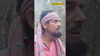 বাঘের ডেরা আলীবান্দা | নির্মান শ্রমিকেরা প্রায়ই ভাঘ দেখে |