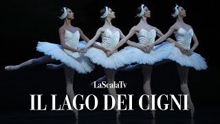 Il lago dei cigni - Danza dei piccoli cigni (Teatro alla Scala)