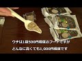 【セキセイインコと白文鳥】値段は？準備物は？維持費は？飼いたいと思っている人へのアドバイス