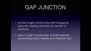 Cell Junctions \u0026 Basal Lamina