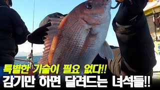 단순하지만 대단한 녀석이 잡히는 낚시 / 두둥!! 만점받은 최고의 요리ㅋ (박선비tv)