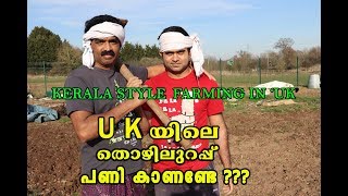 KERALA STYLE FARMING IN U K / U K യിലെ തൊഴിലുറപ്പ് പണി കാണണ്ടേ ??