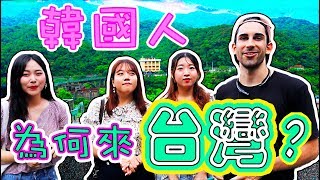 韓國人喜歡台灣的原因是...😲🤔⁉️「TALK+VLOG」 The reason why Korean like Taiwan so much