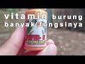 review super - N vitamin burung macet bunyi