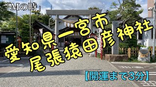 【開運の予感】3分内で尾張猿田彦神社を紹介していくよ♪