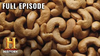 Modern Marvels: Nutritional Wonders of Nuts (S13, E28) | Full Episode | History