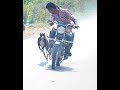 Download Indian Dog Race 1 In Mp4 3Gp Full HD Video