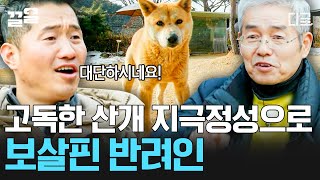 [#고독한훈련사] 고독한 산개가 집개가 된 사연! 자유로운 산개 누렁이를 객식구로 받아들인 반려인✨ 산에서 뛰놀다 오카리나 소리만 들으면 내려오는 강아지들 커여움 주의🥹