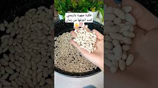 ترطيب اللوبيا في اقل من 15دقيقة حيلة عبقرية لاتفوتكم ⁉️🤔 #youtubeshorts #اكسبلور #shorts #food