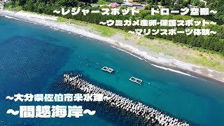 【レジャー】間越海岸 大分県佐伯市_ウミガメ保護_マリンスポーツ_ドローン空撮_leisure spot