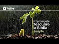 Génesis 31 | Simplemente Descubre la Biblia Simple