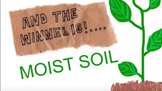 Class Activity - Science Experiments, Soil Moisture Example