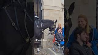 Heartwarming moment with the kings guard #horseguard