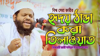 কলিজা ঠান্ডা করা কোরআন তিলাওয়াত।। বিশ্ব সেরা ক্বারী @সাইদুল_ইসলাম_আসাদ ।। #World_best_Quran_Telaowat