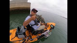 Coronado San Diego Bay Kayak Fishing .... I Actually Talk!