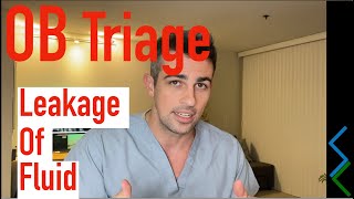 OB Triage: Leakage of Fluid