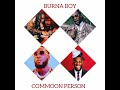 Burna Boy -common Person ( Official Music Audio)