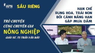 APN - HẠN CHẾ RỤNG HOA, TRÁI NON SẦU RIÊNG BỐI CẢNH NẮNG HẠN GẶP MƯA DẦM