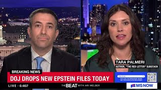 NEW Epstein Files Expose Trump & Musk Ties