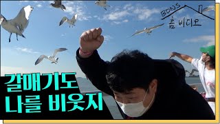 [홈비디오] 바다 건너 도망간 직원을 잡아라! 단서는 제보 사진 단 한 장!