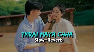 Timrai Maya Chha💗😊 - New Nepali Romantic Song   (Slow+Reverb)