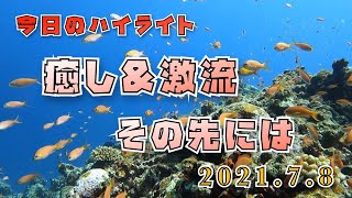 癒し\u0026激流！！【沖縄県　石垣島　ダイビング】2021年7月8日のダイビングハイライト