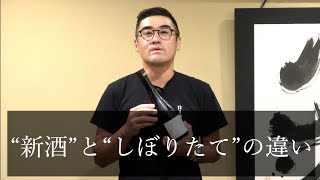 【#275】日本酒 初心者でも分かる!!!新酒としぼりたての違い【日本酒modern rich:奈良 油長酒造 風の森 秋津穂 657】