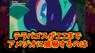 【あにまん】テラパゴスがここまでアメジオに威嚇するのは【ポケモン反応集】