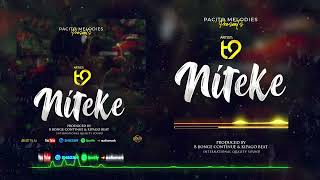 T9 - Niteke (  Music Audio)