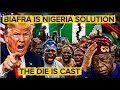 US Trump Gets More Cries From Southwest, Nigeria Turn Against Tinubu, Biafra Division Stand