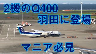 【ボンバルディア】羽田空港にANAのQ400がやってきた　2機体制で運航【ANAウイングス】