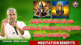 శివుడి వాహనం నంది యముడి వాహనం దున్నపోతు ఏమిటి అంతరార్థం  DAMODAR MAHASWAMI | MMCTV