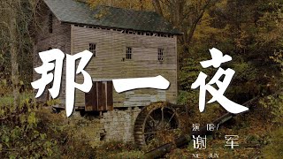 那一夜 - 謝軍『那一夜 我傷害了你』【動態歌詞Lyrics】