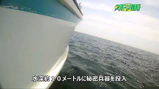 千葉・飯岡港、太幸丸のヒラメ！水中動画、ヒラメがイワシを襲う！！６月１日解禁！良型そろいます！船上カメラマンムービー　スポーツ報知