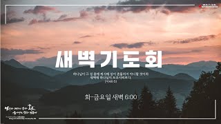 2025 0109 주중 새벽기도회 LIVE