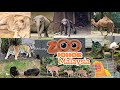 #Zoo Johor#Johor zoo malaysia 2024#Malaysia tour#zoo Malaysia🇲🇾 #zooanimals#johorbahru#johor zoo2024