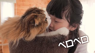 娘達が大好きなもふ猫よ、どうか私もぺろぺろして下さい