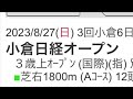 【競馬win5予想／小倉日経オープン】◎シュヴァリエローズ○ノルカソルカ 競馬 競馬予想 win5 小倉日経オープン