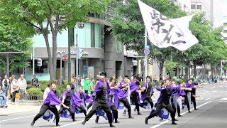 紫仁 - 2019年 第28回 YOSAKOIソーラン祭り！