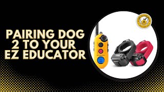 Pairing your EZ 900 for dog 2