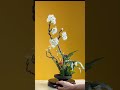 怎样用梨花枝，白掌叶，康乃馨制作盘花作品｜flower arrangement